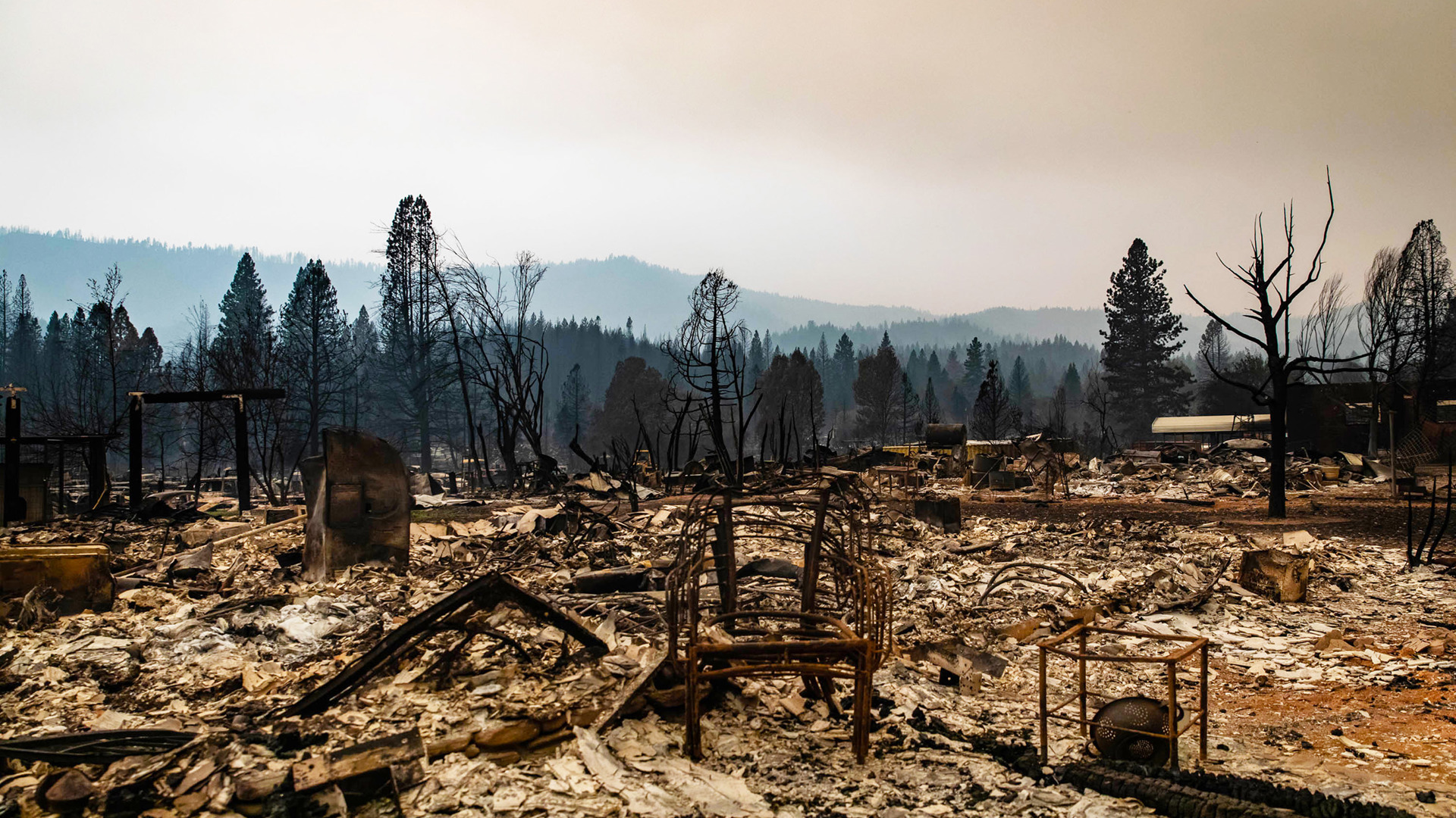 Homepage Disaster Center WILDFIRE USE