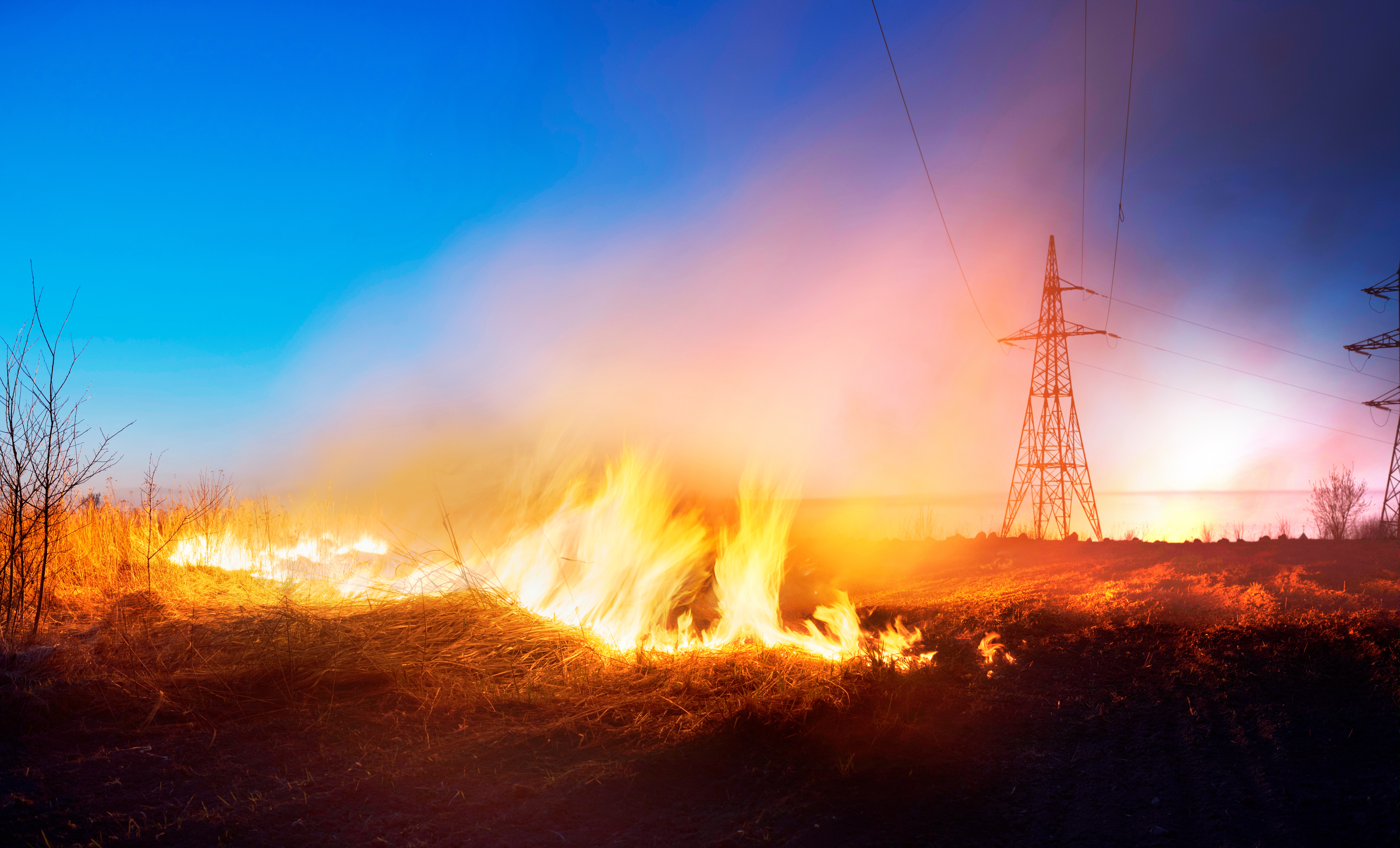 Wildfire Preparedness Checklist