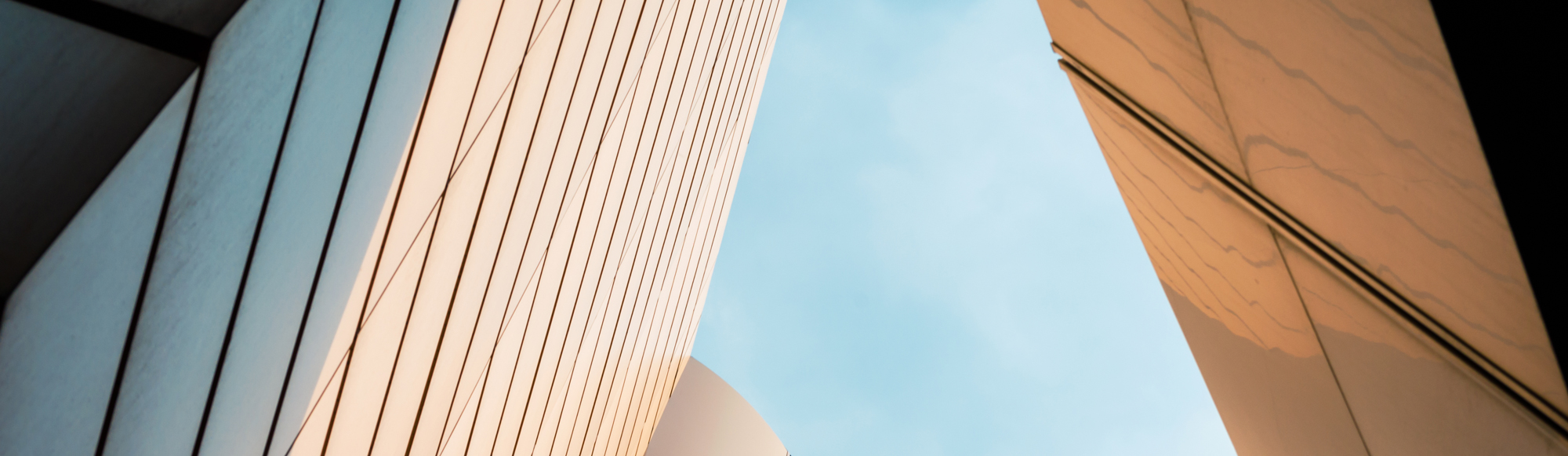 Section background
